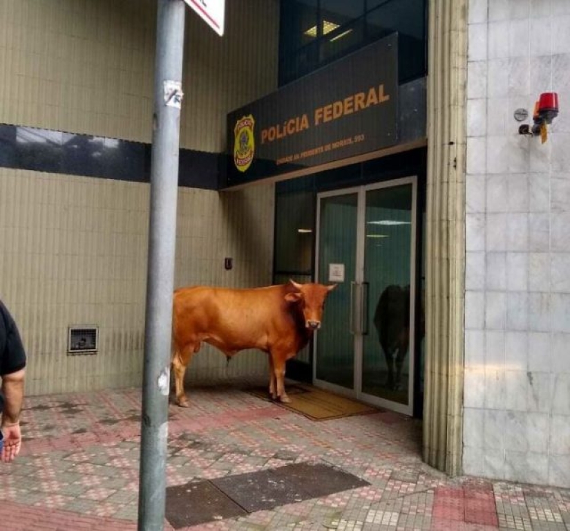 10 Photos That Prove Brazil Is Unlike Any Other Country