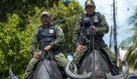 10 Photos That Prove Brazil Is Unlike Any Other Country