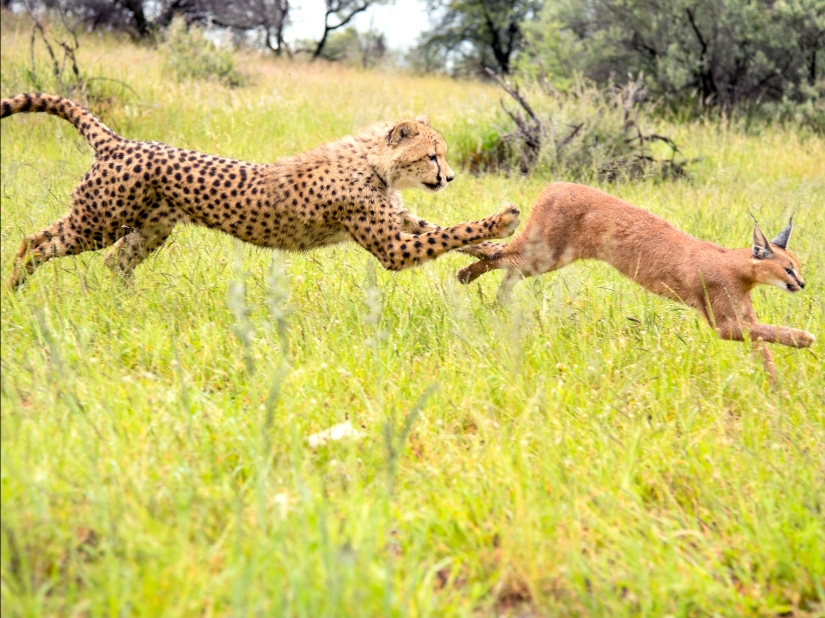 10 photos that will make you want to visit Namibia