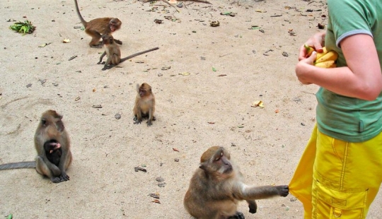 10 places where exotic animals live instead of pigeons 10 places where exotic animals live instead of pigeons