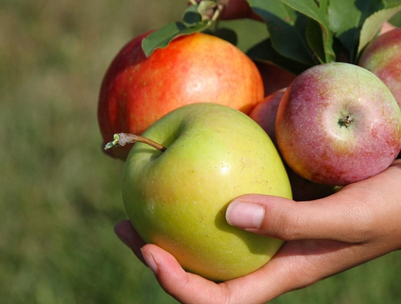 10 products for dental health