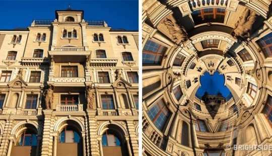 10 professional secrets for amazing smartphone photos