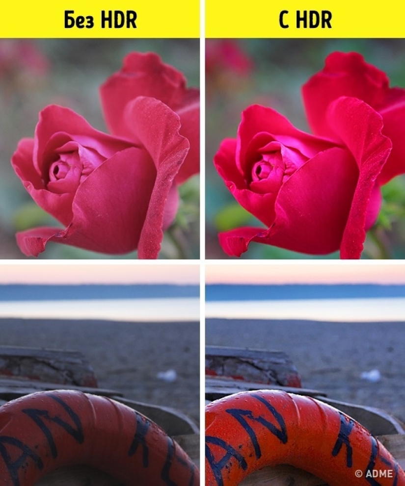 10 professional secrets for stunning photos on your smartphone