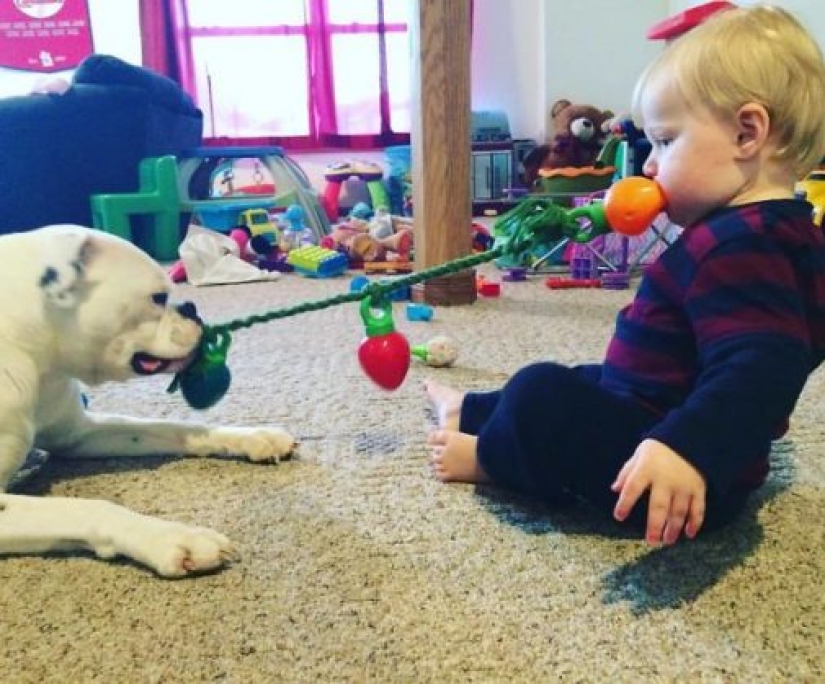 10 reasons not to leave children alone with pets