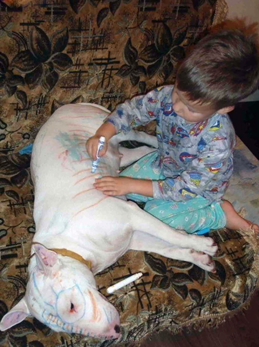 10 reasons not to leave children alone with pets
