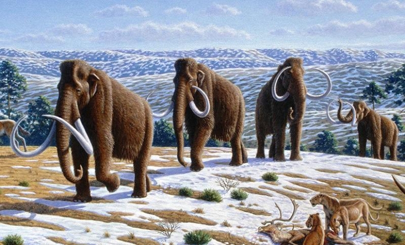 10 species of animals that were exterminated by man
