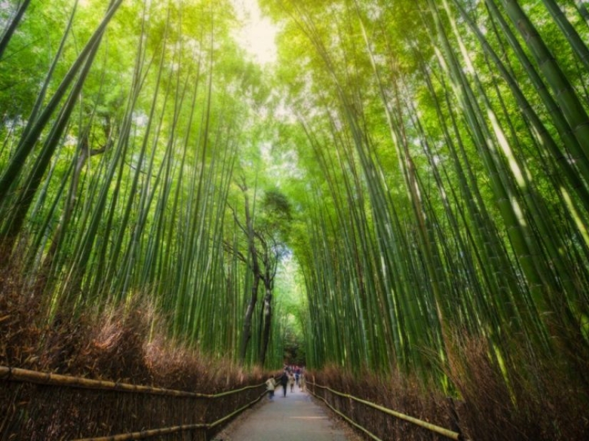 10 Stunning Natural Wonders Everyone Should See in Their Lifetime