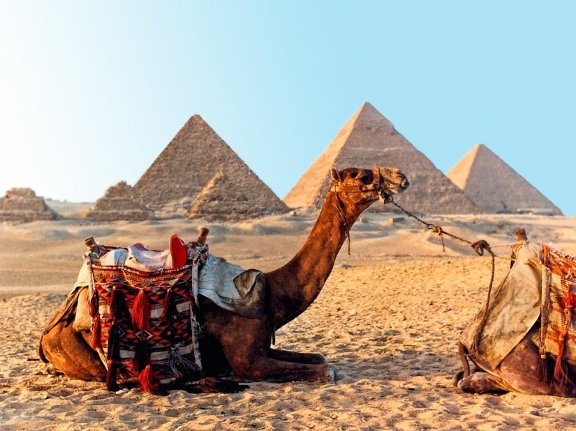 10 things to do while traveling in Africa 10 things to do while traveling in Africa