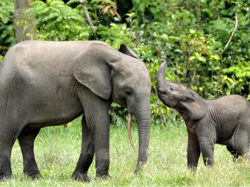 10 things to do while traveling in Africa 10 things to do while traveling in Africa