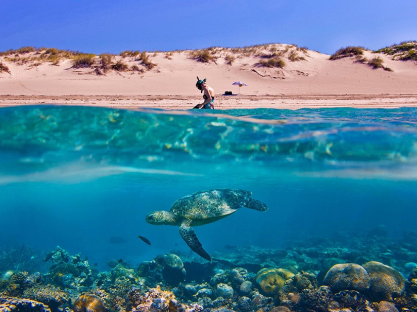 10 unique semi-underwater photos