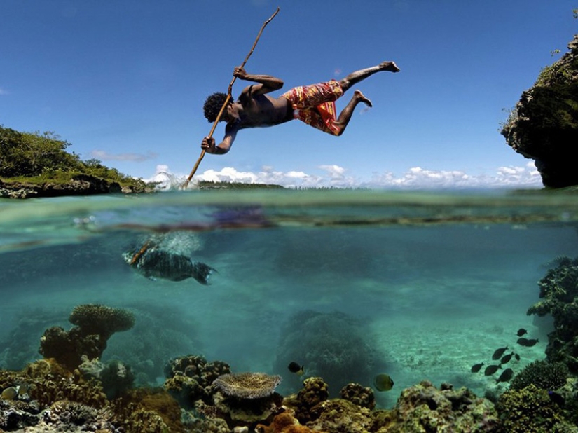 10 unique semi-underwater photos