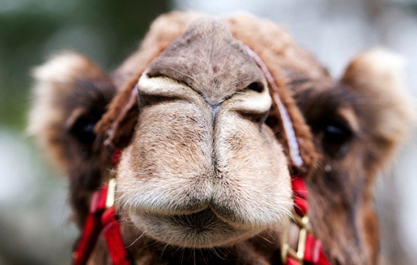 10 unusual phenomena for which, it turns out, there are terms 10 unusual phenomena for which, it turns out, there are terms