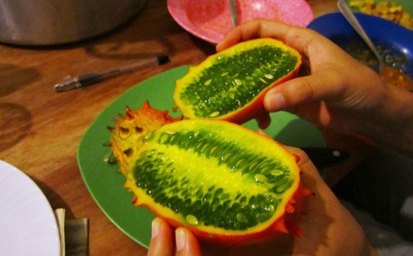 10 variedades de pepinos de las que ni siquiera has oído hablar