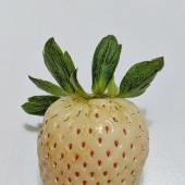 10 veces que el universo logró sorprendernos