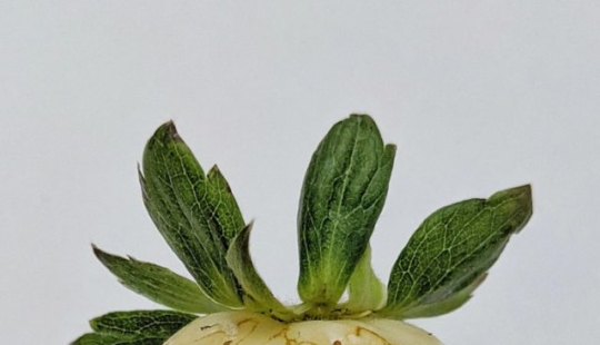 10 veces que el universo logró sorprendernos