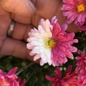 10 veces que la madre naturaleza nos sorprendió con sus obras de arte