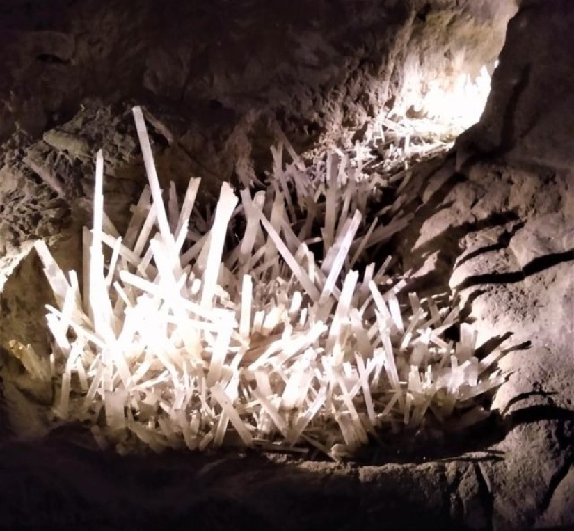 10 veces que la madre naturaleza nos sorprendió con sus obras de arte