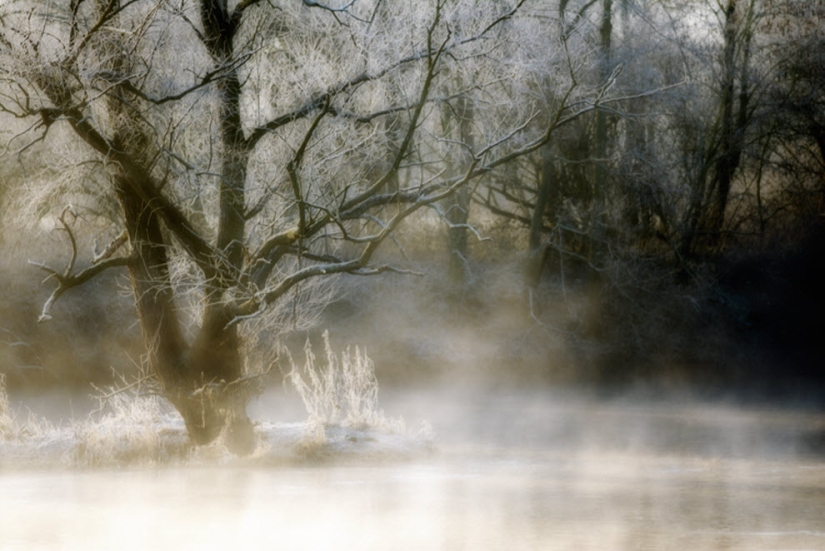 100 amazing fog photos (part 1)