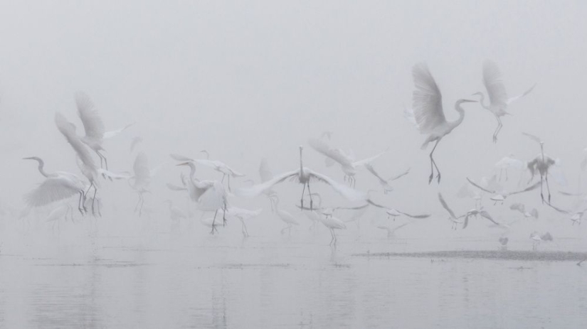 100 best photos without photoshop