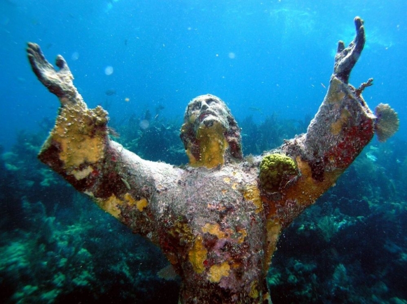 100 best photos without photoshop