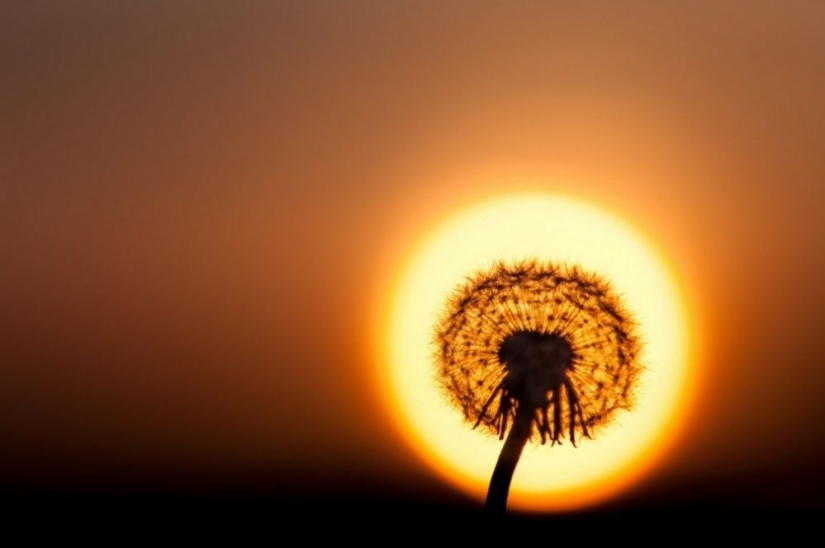 100 best photos without photoshop