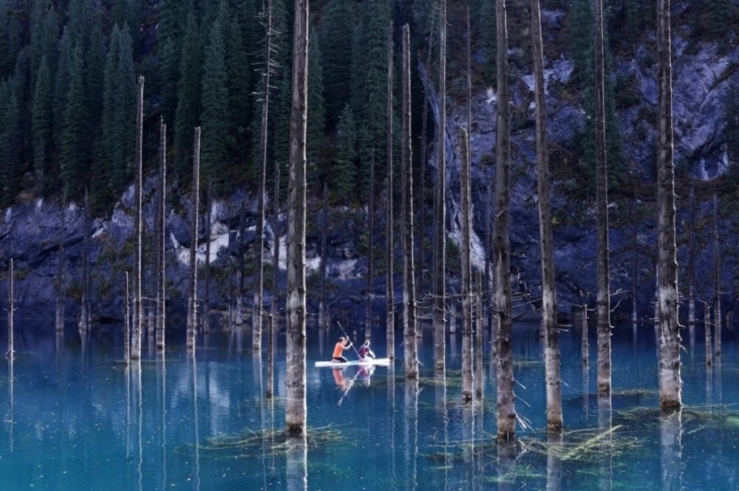 100 best photos without photoshop