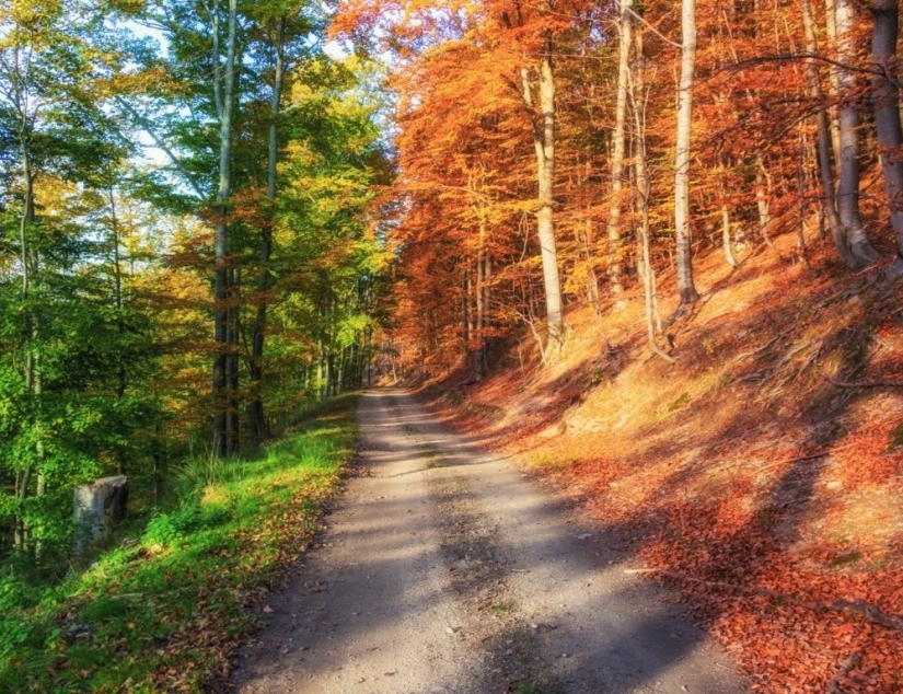 100 best photos without photoshop