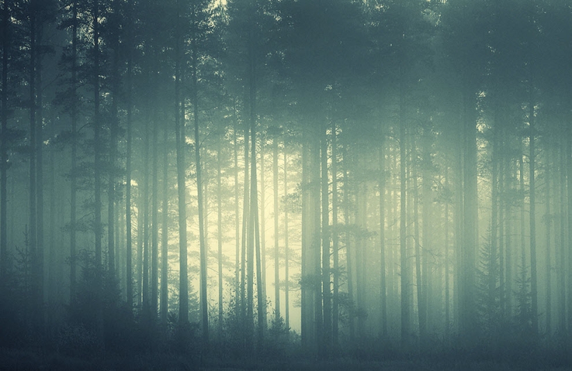100 increíbles fotos de niebla (parte 1)
