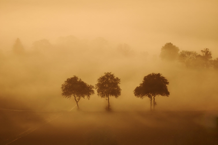 100 increíbles fotos de niebla (parte 1)