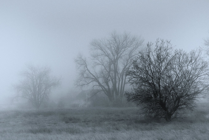 100 increíbles fotos de niebla (parte 1)