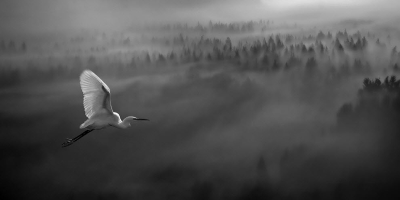 100 increíbles fotos de niebla (parte 1)
