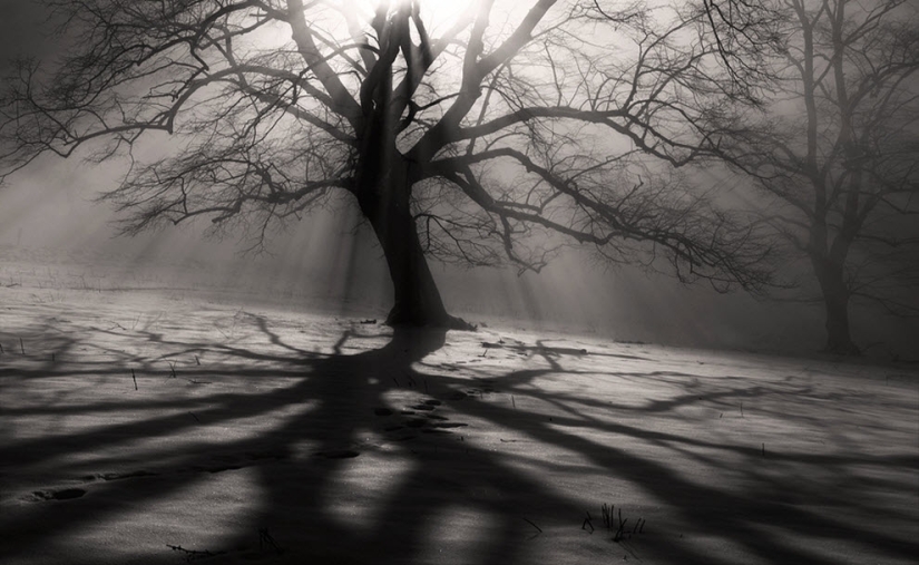 100 increíbles fotos de niebla (parte 1)