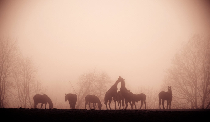 100 increíbles fotos de niebla (parte 1)