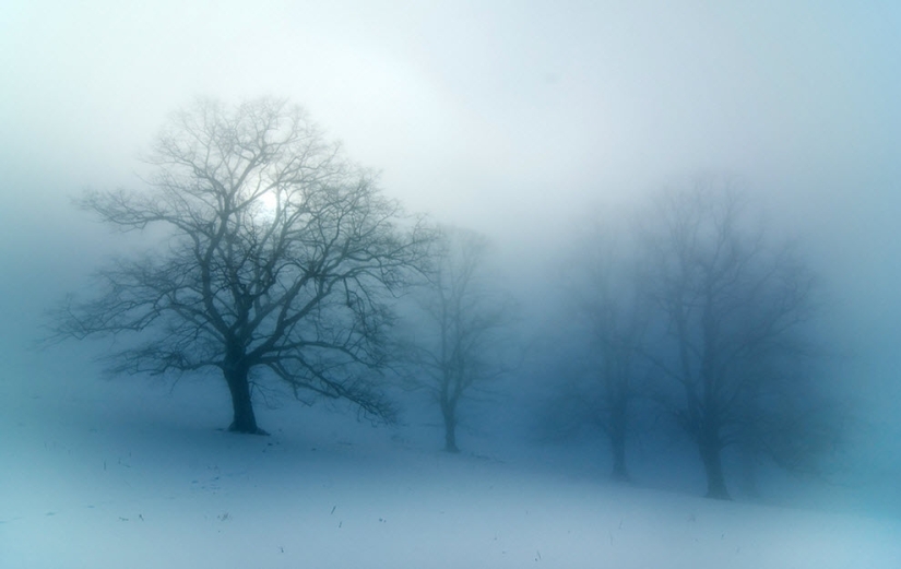 100 increíbles fotos de niebla (parte 1)