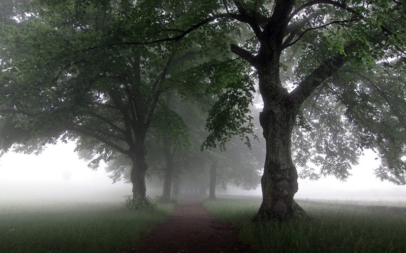 100 increíbles fotos de niebla (parte 1)