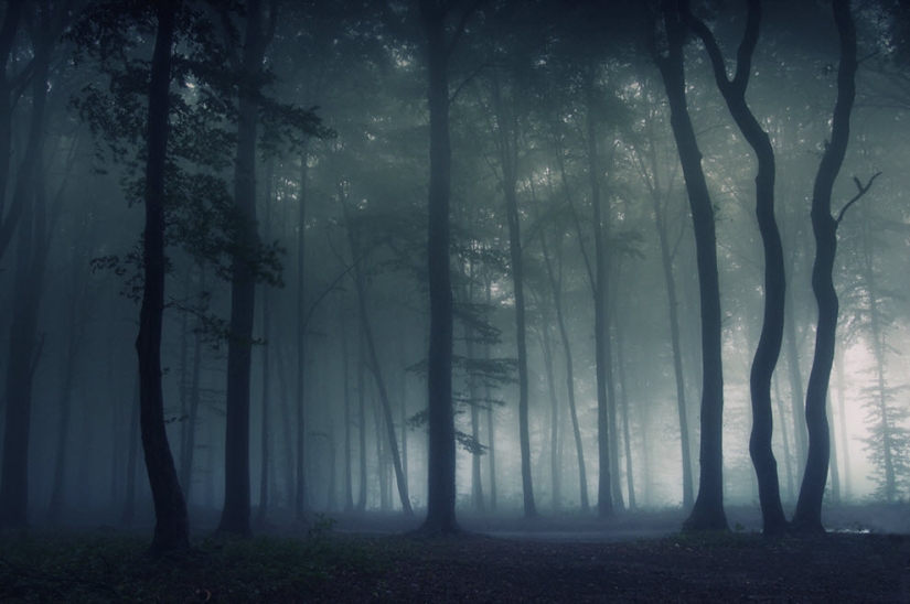100 increíbles fotos de niebla (parte 1)
