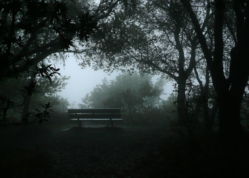 100 increíbles fotos de niebla (parte 1)