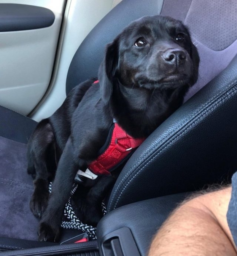 11 animals whose eyes speak louder than a thousand words