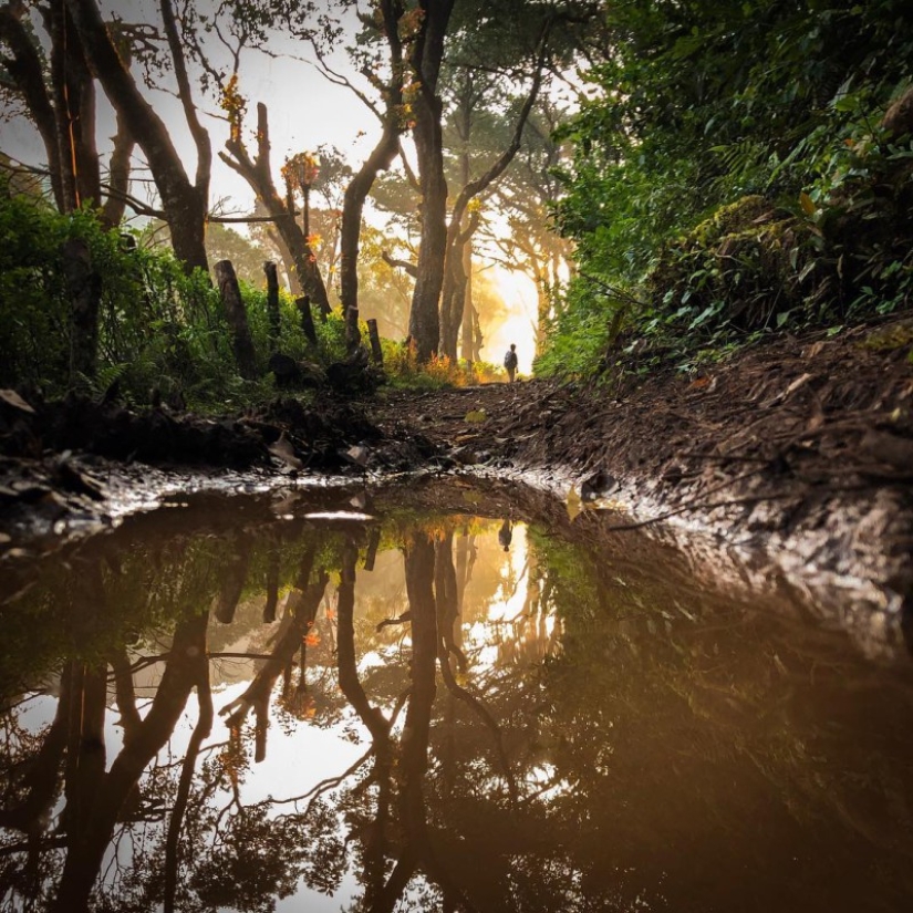 11 effective tips on how to take cool photos on iPhone