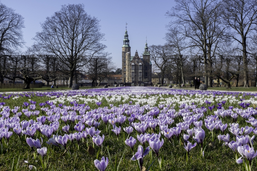 11 facts about Denmark that you might not know 11 facts about Denmark that you might not know