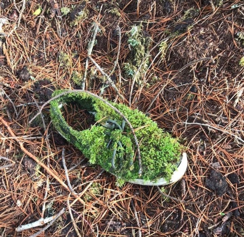 11 fotos de lugares donde la naturaleza ha recuperado el control