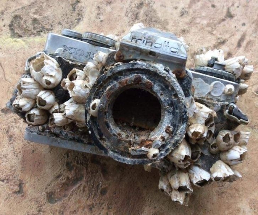 11 fotos de lugares donde la naturaleza ha recuperado el control