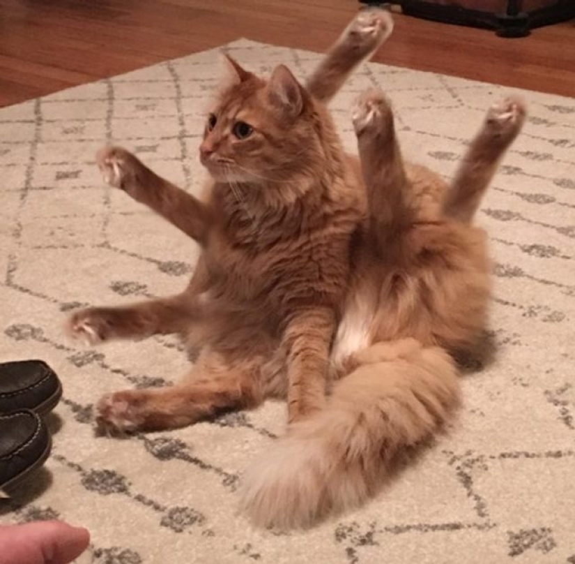 11 fotos que ponen nuestra realidad patas arriba