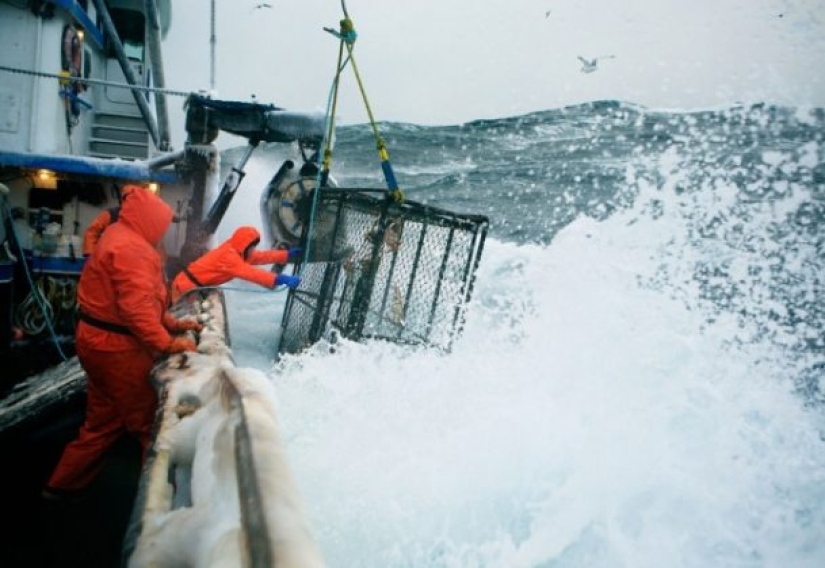 11 Most Dangerous Jobs in the World