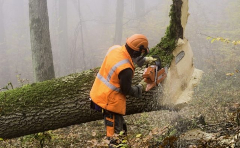 11 Most Dangerous Jobs in the World