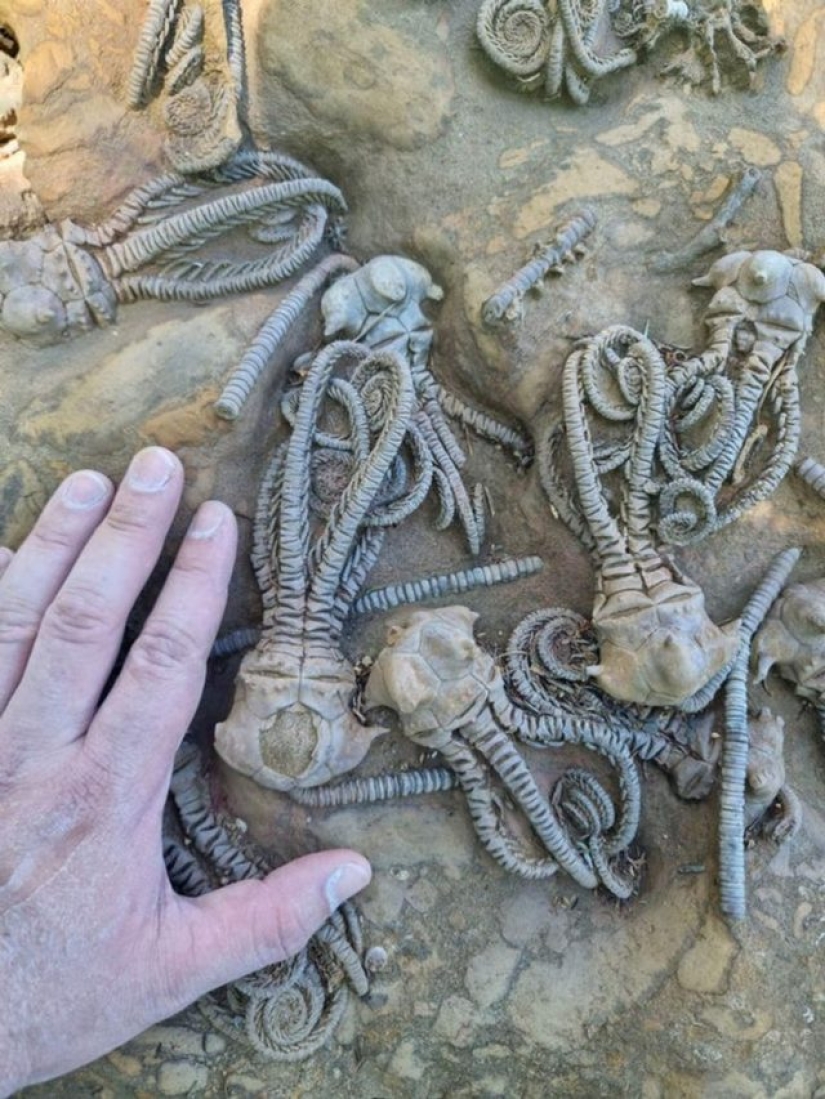 11 people showed us a different side of life that not everyone saw