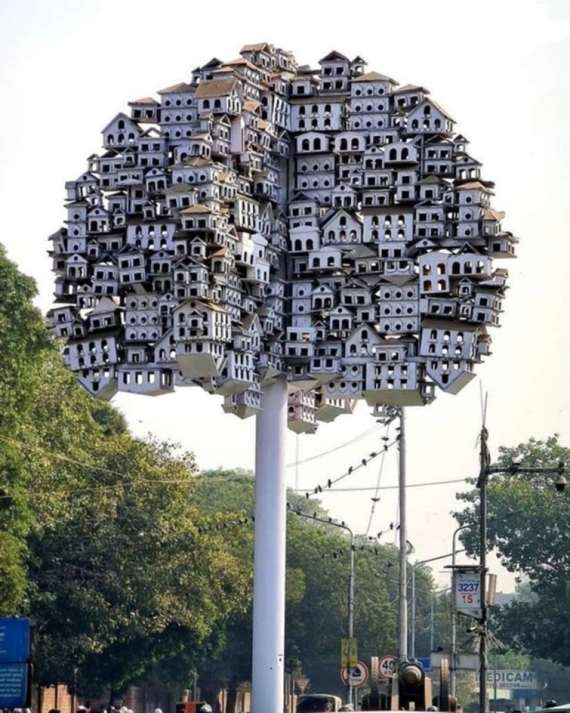 11 People Whose Creativity Moves Super Fast