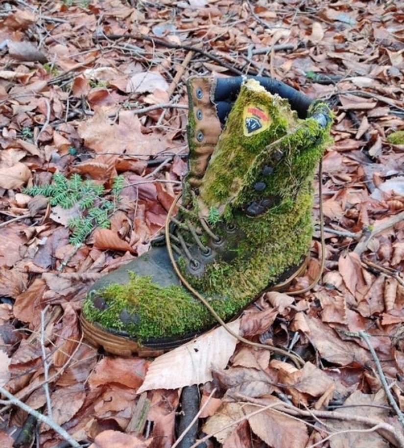 11 Photos of Places Where Nature Has Taken Back Control 11 Photos of Places Where Nature Has Taken Back Control