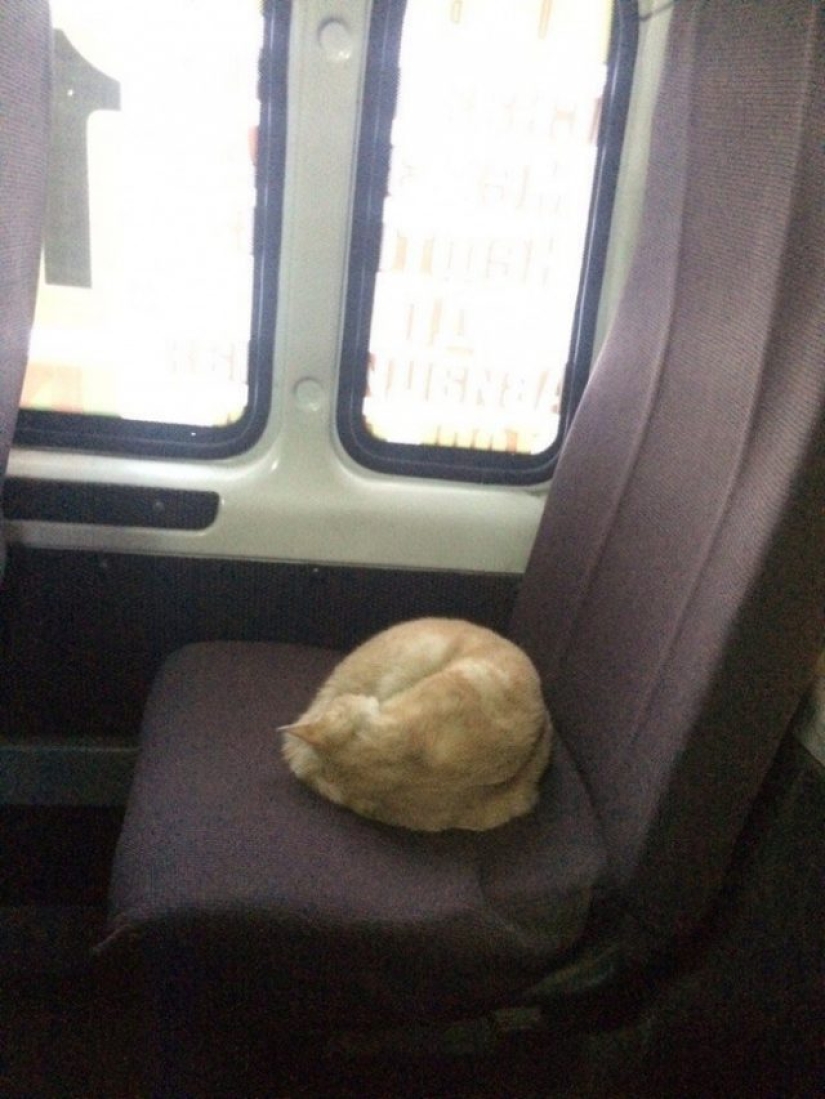 11 photos that people who think there is nothing good in this world should see