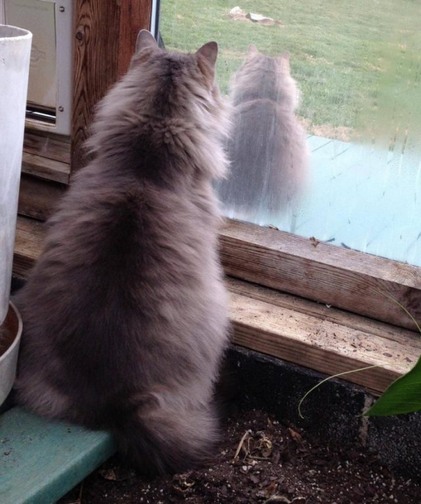 11 photos that turn our reality upside down